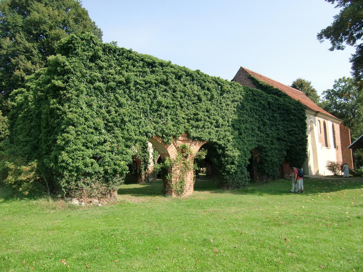 Hotel Zum Birkenhof Stechlin Bagian luar foto